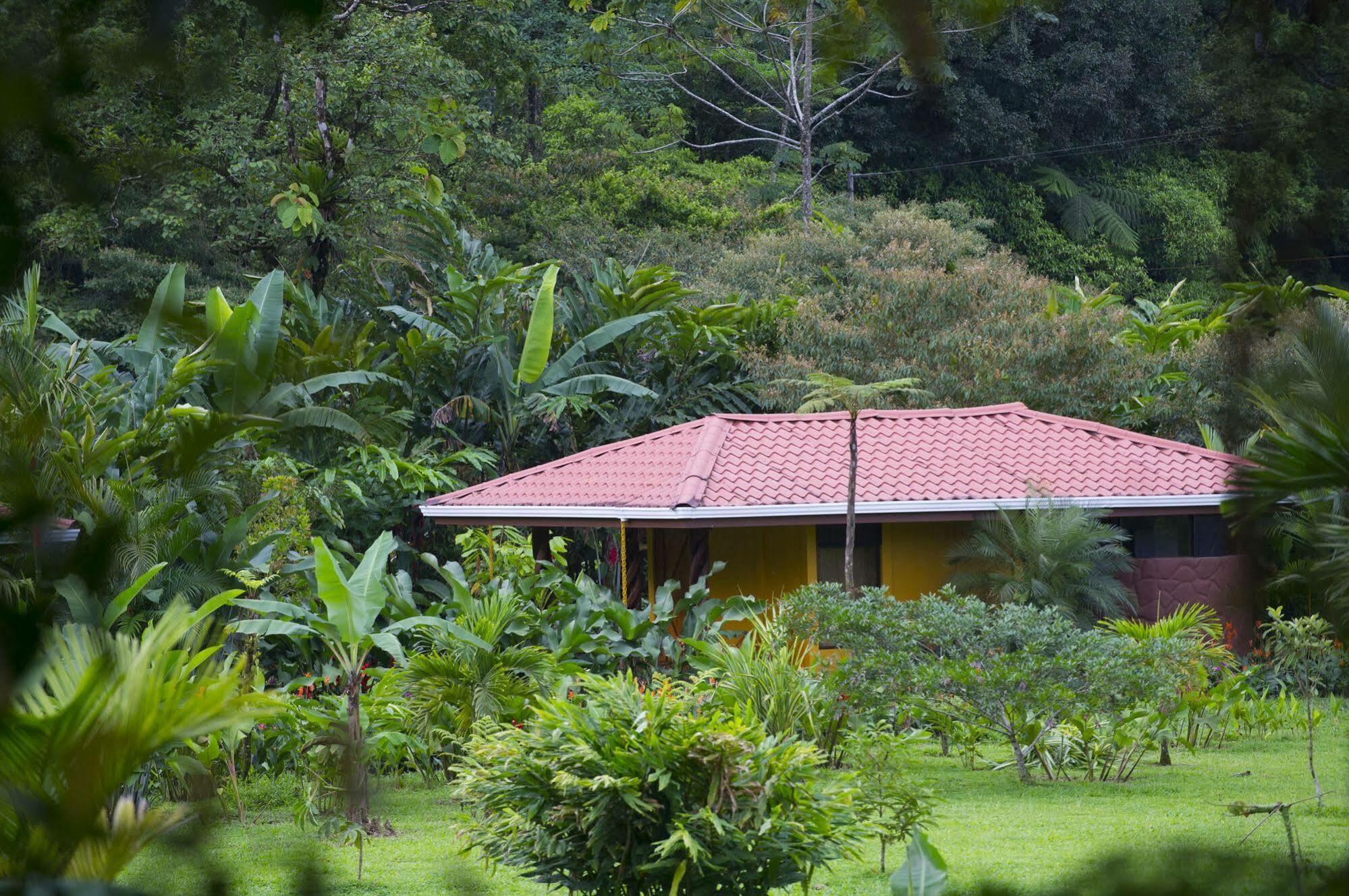 Hotel Catarata Rio Celeste Bijagua Extérieur photo