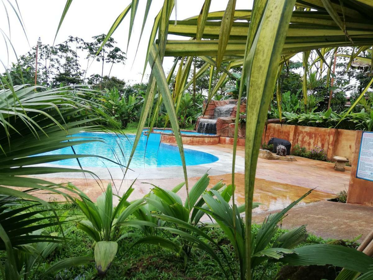 Hotel Catarata Rio Celeste Bijagua Extérieur photo